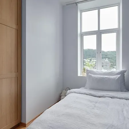 Lys & Luksurios Leilighet Midt I Sentrum! Bergen